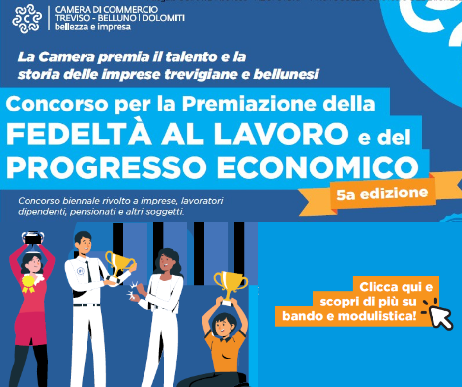camera commercio treviso-belluno (1)