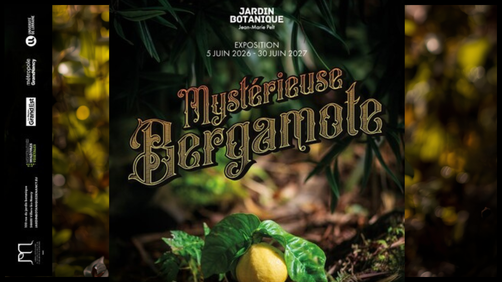 sito- mostra bergamote