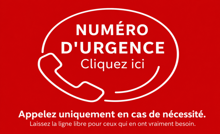 Aller à la page https://consmetz.esteri.it/it/chi-siamo/numeri-di-emergenza/