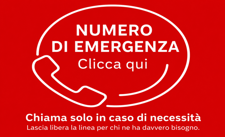 Vai alla pagina https://consmetz.esteri.it/it/chi-siamo/numeri-di-emergenza/